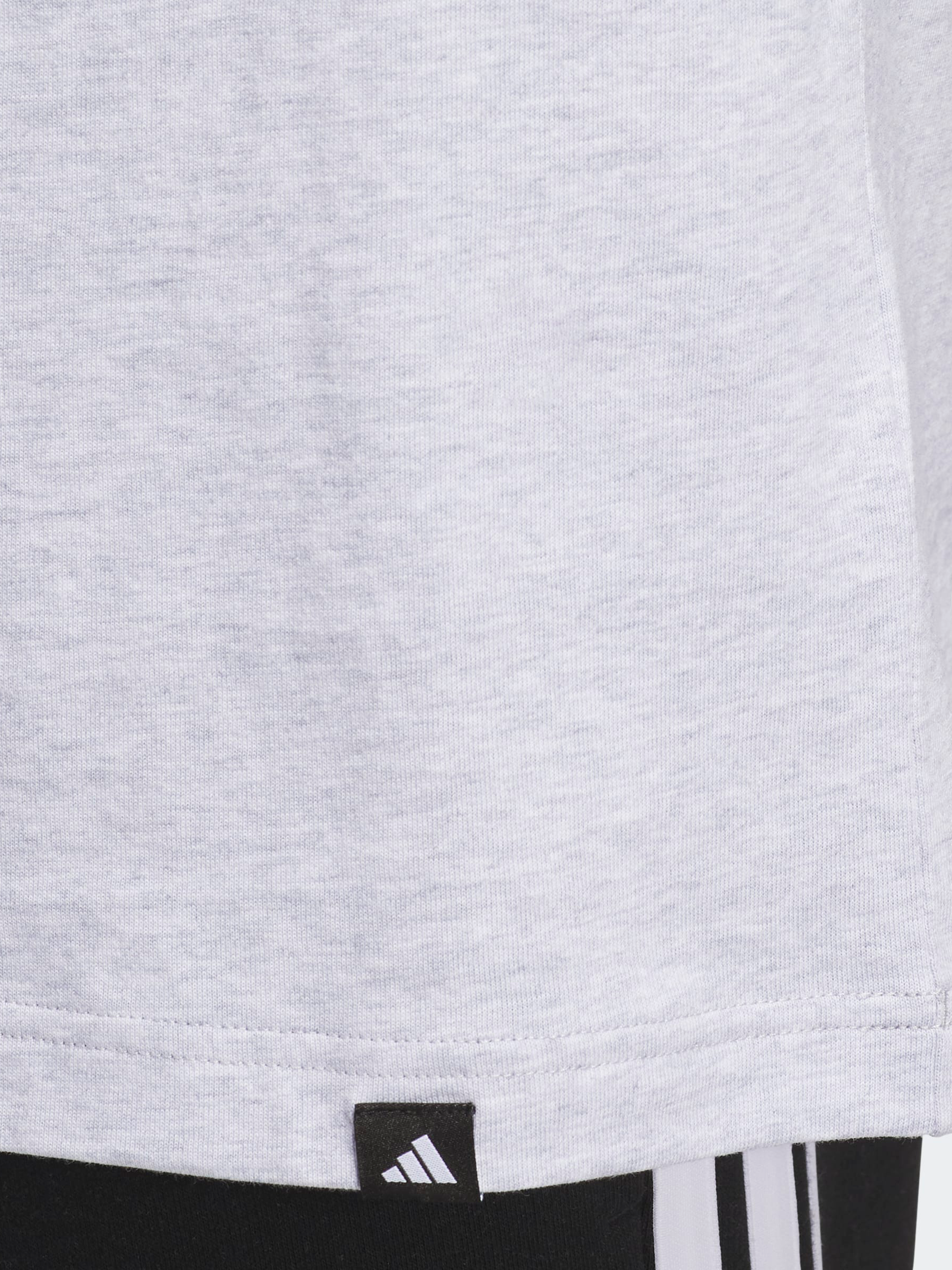 Varsity Crest Graphic T-Shirt