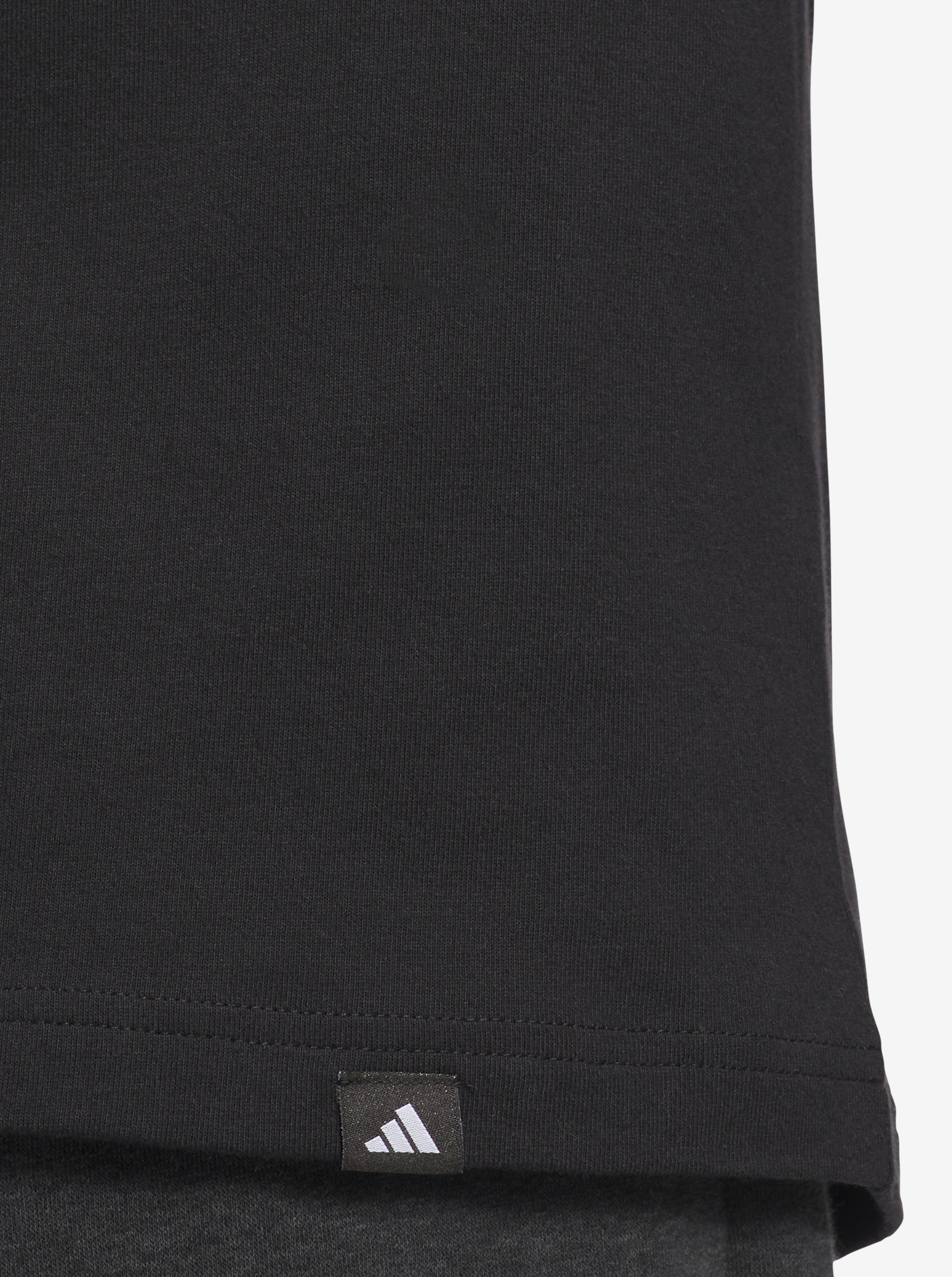 Varsity Crest Graphic T-Shirt