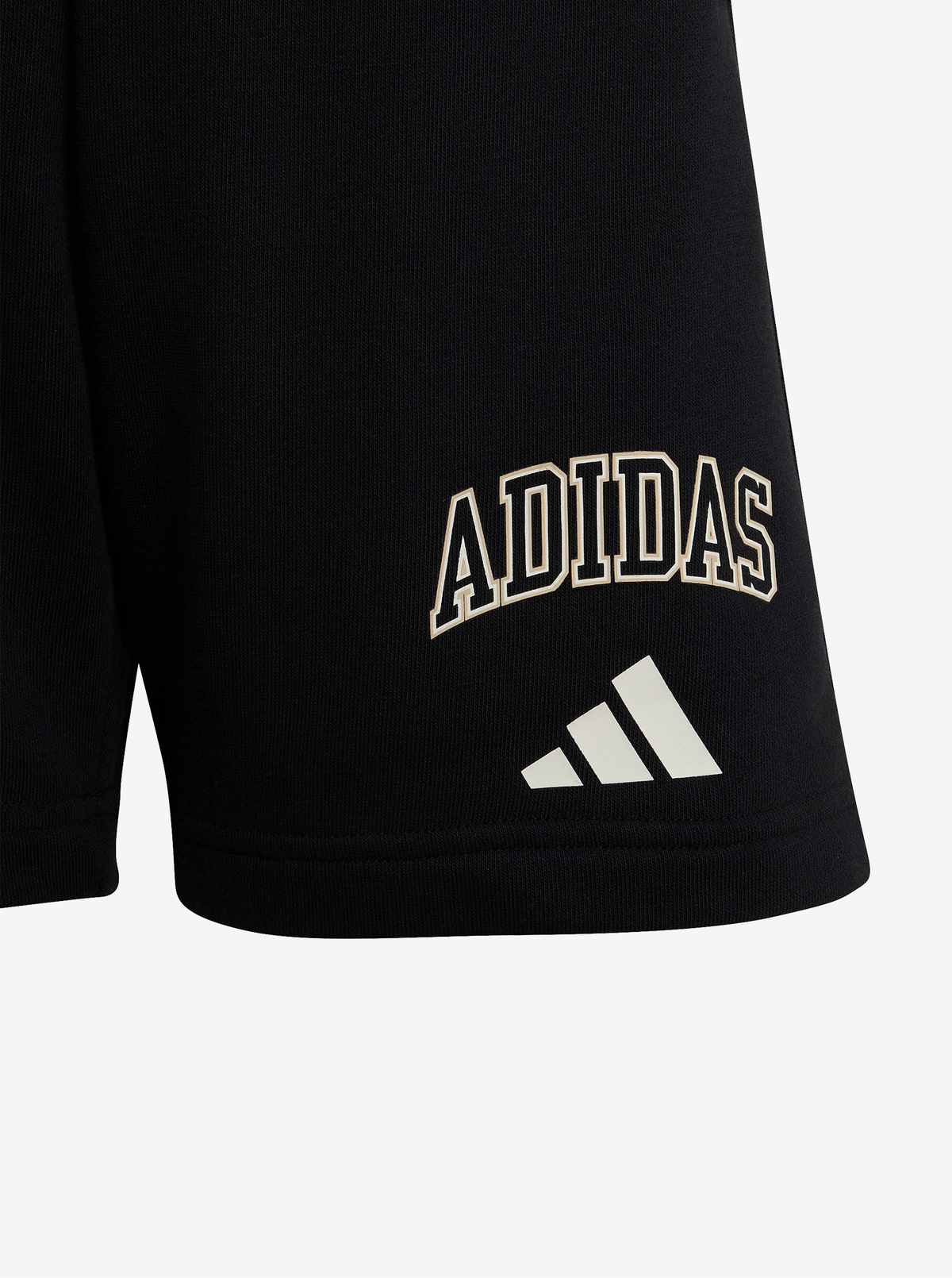 Seasonals Collegiate Typography Shorts