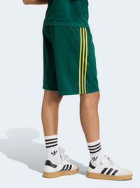 Firebird Engineered Stripes Shorts