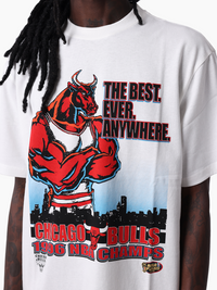 Chicago Bulls The Best Tee