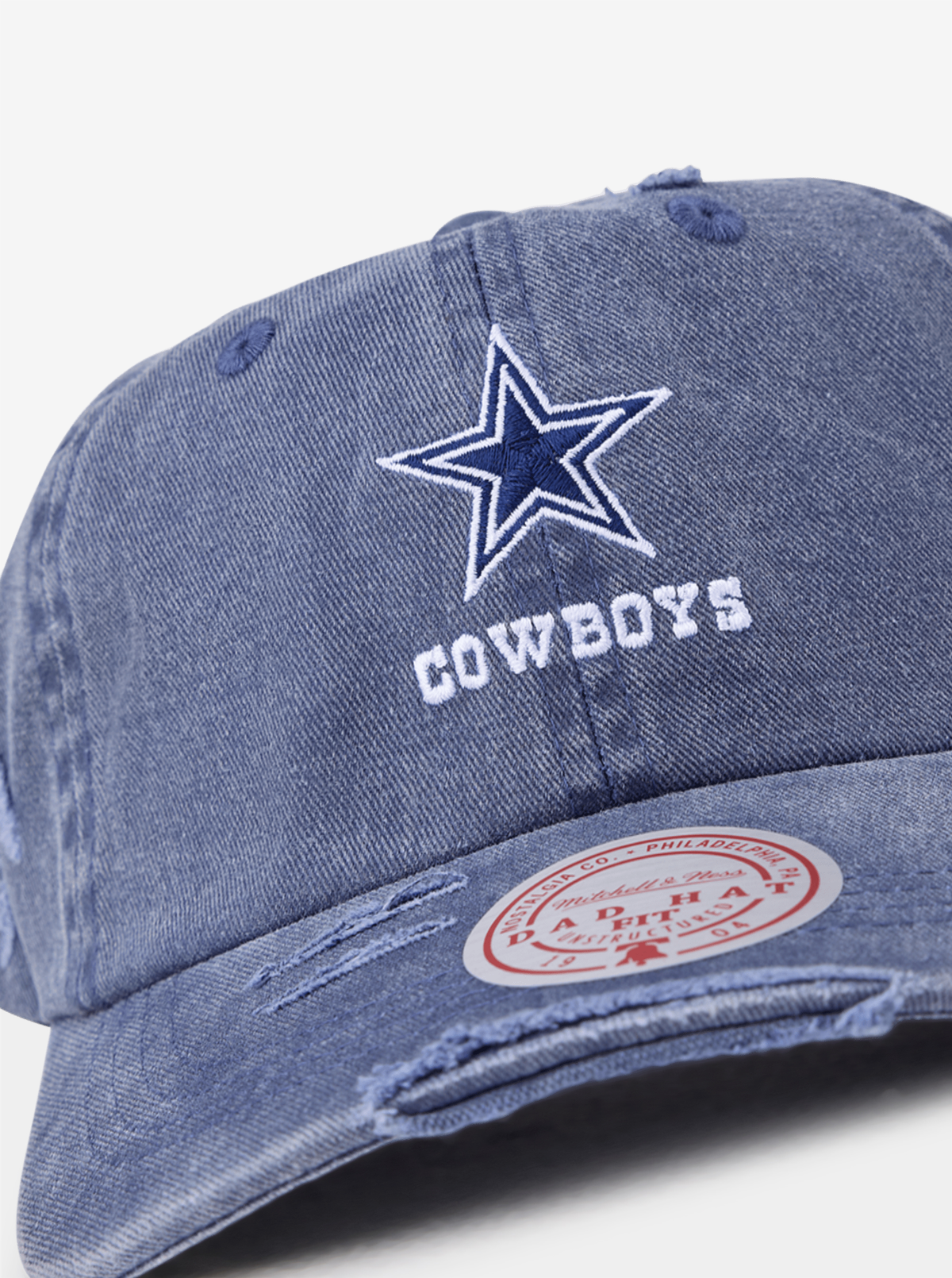 Distressed Dad Hat