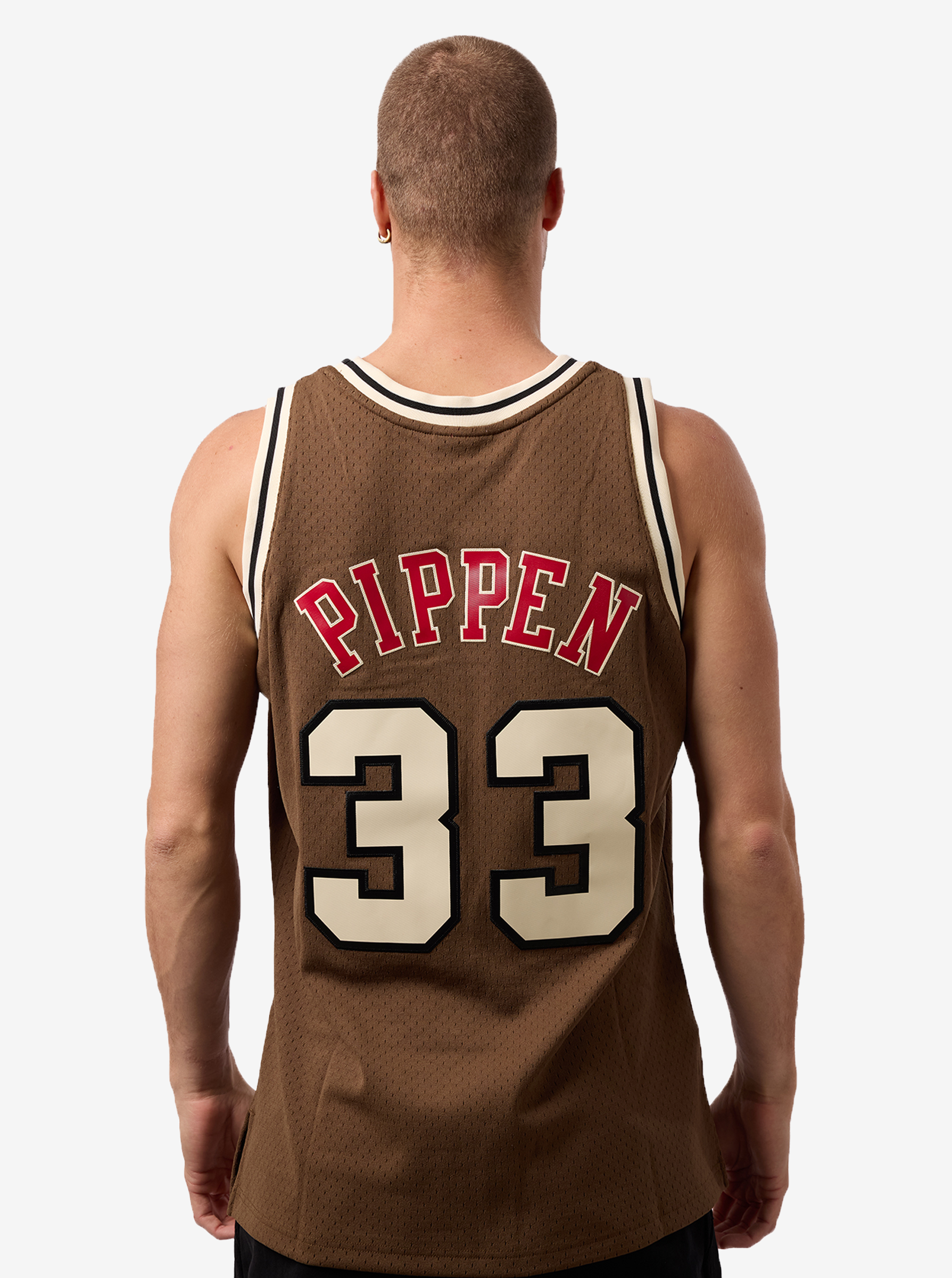 Scottie Pippen Swingman Jersey