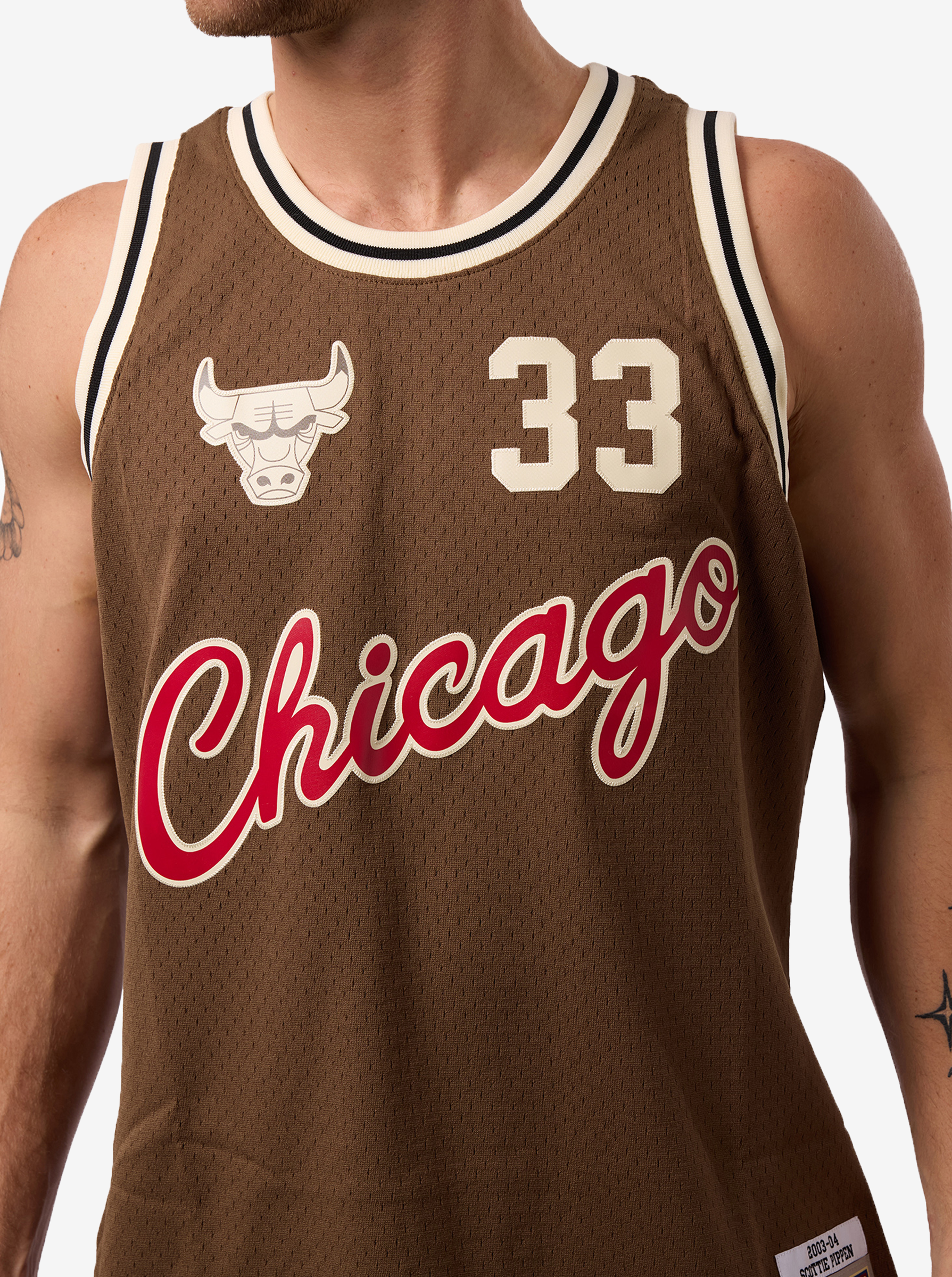 Scottie Pippen Swingman Jersey