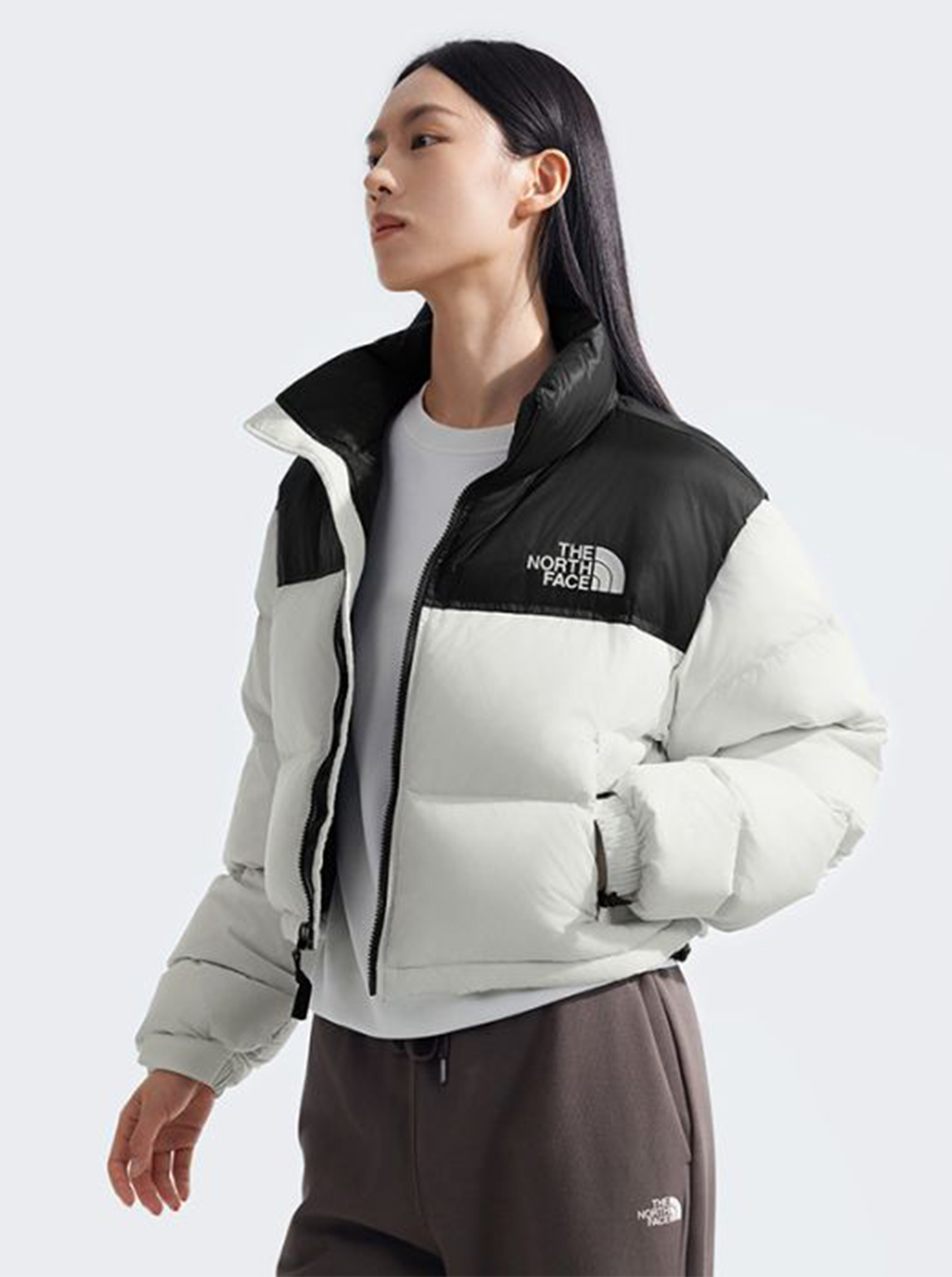 Nuptse Short Jacket