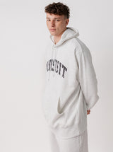 Distressed Arch Heavyweight Pullover in Heather Grey
