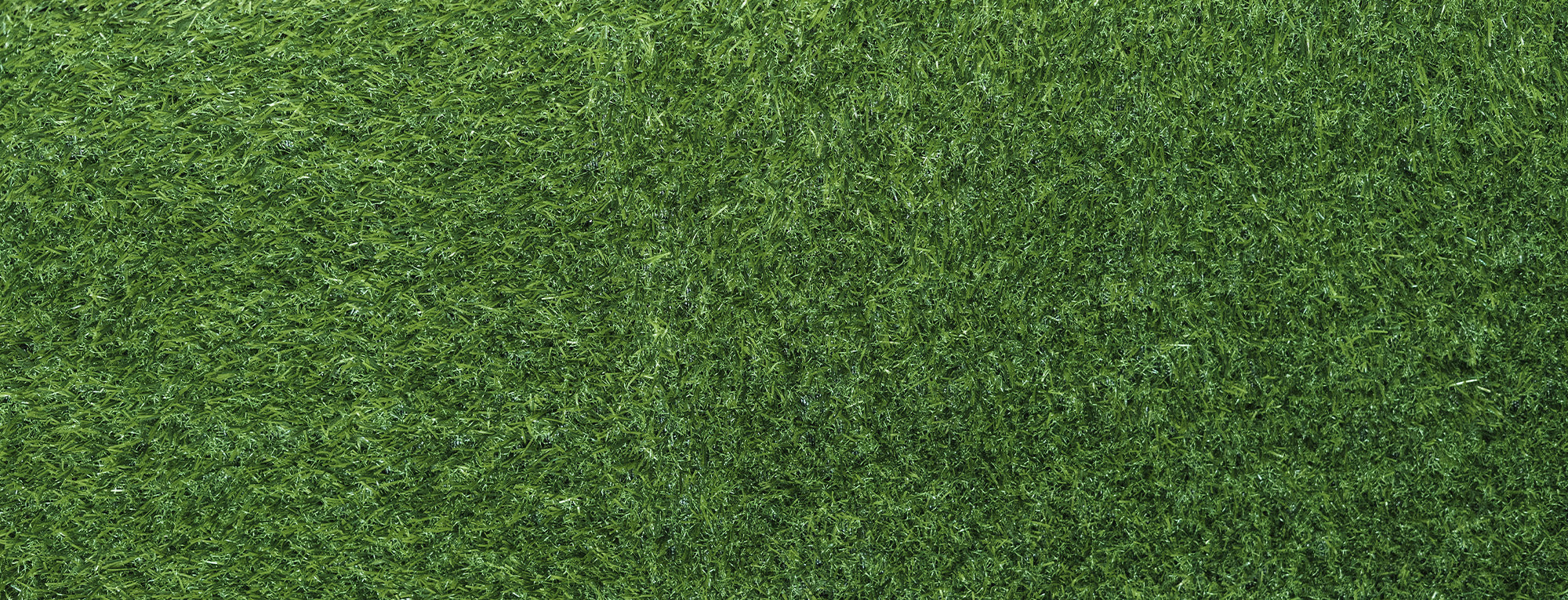 SS-GrassBanner